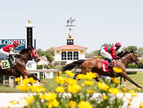 2021 Preakness Stakes G1 .